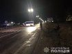 В Закарпатье в ДТП с Mercedes-Benz Sprinter и Geely пострадала 55-летняя женщина