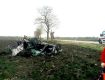 Смертельное ДТП в Словакии: Škoda на полном ходу влетела в дерево
