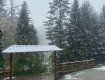 Курортное село возле Ужгорода стремительно засыпает снегом
