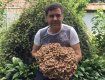 «115 кг грибов в день - это не рекорд, находил и гораздо больше!» -Андрей Боечко