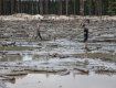 На Житомирщині та Рівненщині не за горами екологічна катастрофа