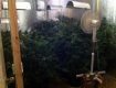 Спеціально обладнана нарколабораторію для вирощування марихуани