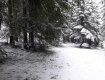 В Закарпатье жители делятся фотографиями мест, где еще бушует зима 