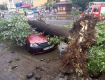 Дерево раздавило автомобиль марки" Дачия "на улице Корятовича