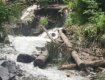 В реку сошли порубленные остатки из Карпатского биосферного заповедника
