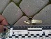 В Мукачево неизвестные бросили гранату Ф-1 в витрину магазина