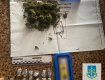 В Закарпатье наркобизнесмена-рецидивиста могут выпустить под залог 