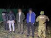 17 мужчин поймали за сутки на границе в Закарпатье