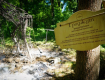 Организаторы "Мира великанов" назвали причину пожара в Боздошском парке Ужгорода