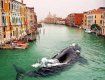 Вчера обескураженные жители Венеции обнаружили в своем канале кита