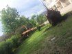 В Закарпатье ураганный ветер вырвал с корнем дерево