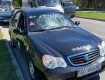 Ногами выбил лобовое: В Ужгороде местный "Халк" за 15 минут уничтожил 10 авто 
