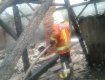 Обугленный труп обнаружили на месте масштабного пожара в Закарпатье 