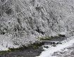 В Нацпарке "Синевир" на Закарпатье выпал снег