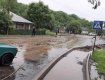 В Закарпатье обильные дожди привели к первым потопам 