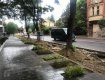 В Ужгороде под носов у депутатов совершили акт уничтожения уникальной зоны
