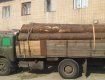 Инспекторы ГАИ задержали грузовик «МАЗ» с 20 кубометров леса