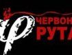 В Ужгороде состоится отборочный конкурс фестиваля "Червона рута"