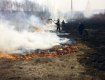 Подразделениями Управления ДСНС Украины в Закарпатье потушено 75 пожаров