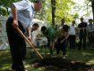 Депутаты будут в Ужгороде сажать деревья и устанавливать скамейки