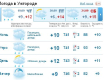 Мелкий дождь в Ужгороде будет идти почти весь день