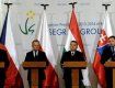 Польша, Чехия, Словакия, Венгрия помогут Украине со всеми реформами