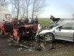 В ДТП под Виноградово погибли водитель и пассажир автомобиля AUDI