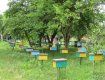 Контрабанду пчел обнаружили на таможенном посту "Конотоп" в Сумской области