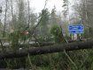 В Словакии выкорчеваны и поломаны ураганом тысячи деревьев