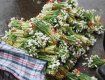 Первоцветы вывозятся из Закарпатья для продажи в крупные города Украины