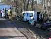Восемь жителей Закарпатья пострадали в ДТП на автодороге Псков - Гдов