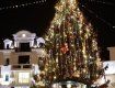 12 января в Ужгороде состоится Рождественский благотворительный флеш-моб