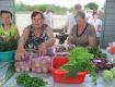 На Закарпатье действует сельскохозяйственный рынок