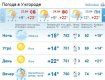 В Ужгороде облачная погода, во второй половине дня небольшой дождь
