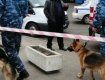 Горе-шутника из Донецкой области разыскивает вся ужгородская милиция