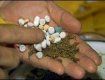 Закарпатские правоохранители обнаружили в доме мукачевца много марихуаны