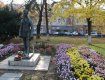 В Ужгороде зацвели цветы, которые создают на площади некий цветущий «островок»