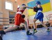 У Львові відбувся зональний чемпіонат України з боксу серед юнаків