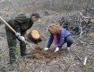 на Ужгородщині в 2014 році через буревій постраждало 78 тисяч кубів лісу.