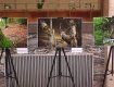 В атриуме Закарпатской ОГА устроили масштабную фотовыставку