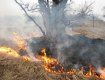 За останню добу пожежники Закарпатської області 11 разів виїжджали на гасіння сухостою