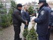 Міліція перевіряє місця реалізації новорічних ялинок в Ужгороді