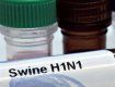 В Чехии уже три человека умерли от свиного гриппа