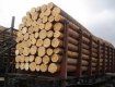 Деловую древесину везут на экспорт под видом дров