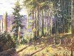Сотрудники СБУ изъяли одну из разыскиваемых картин - пейзаж Антона Кашшая "Еловый лес".