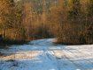 В Закарпатской области выпал первый снег
