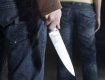 В Виноградовском районе тесть ударил ножом в грудь своего зятя, - и тот выжил
