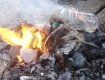 В Королево, сжигая мусор, смертельно травмировалась женщина