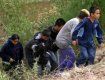 На Закарпатье пограничники задержали семерых граждан Палестины