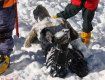 В Карпатах погибли горнолыжники во время схода лавины